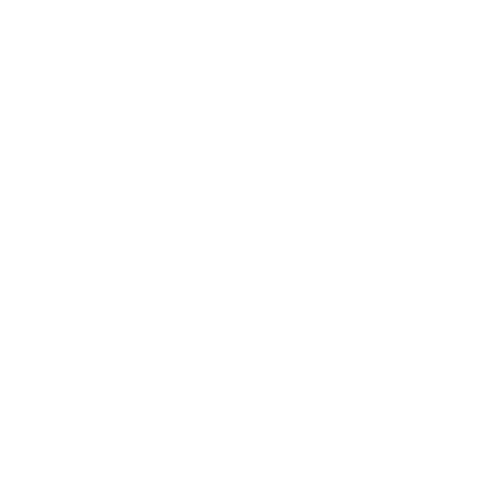 logo-image